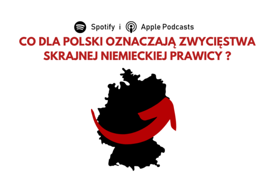 W kontur Republiki Federalnej Niemiec wpisana charakterystyczna strzałka z logo partii Alternatywa dla Niemiec. U góry pytanie: "Co dla Polski oznaczają zwycięstwa skrajnej niemieckiej prawicy?"